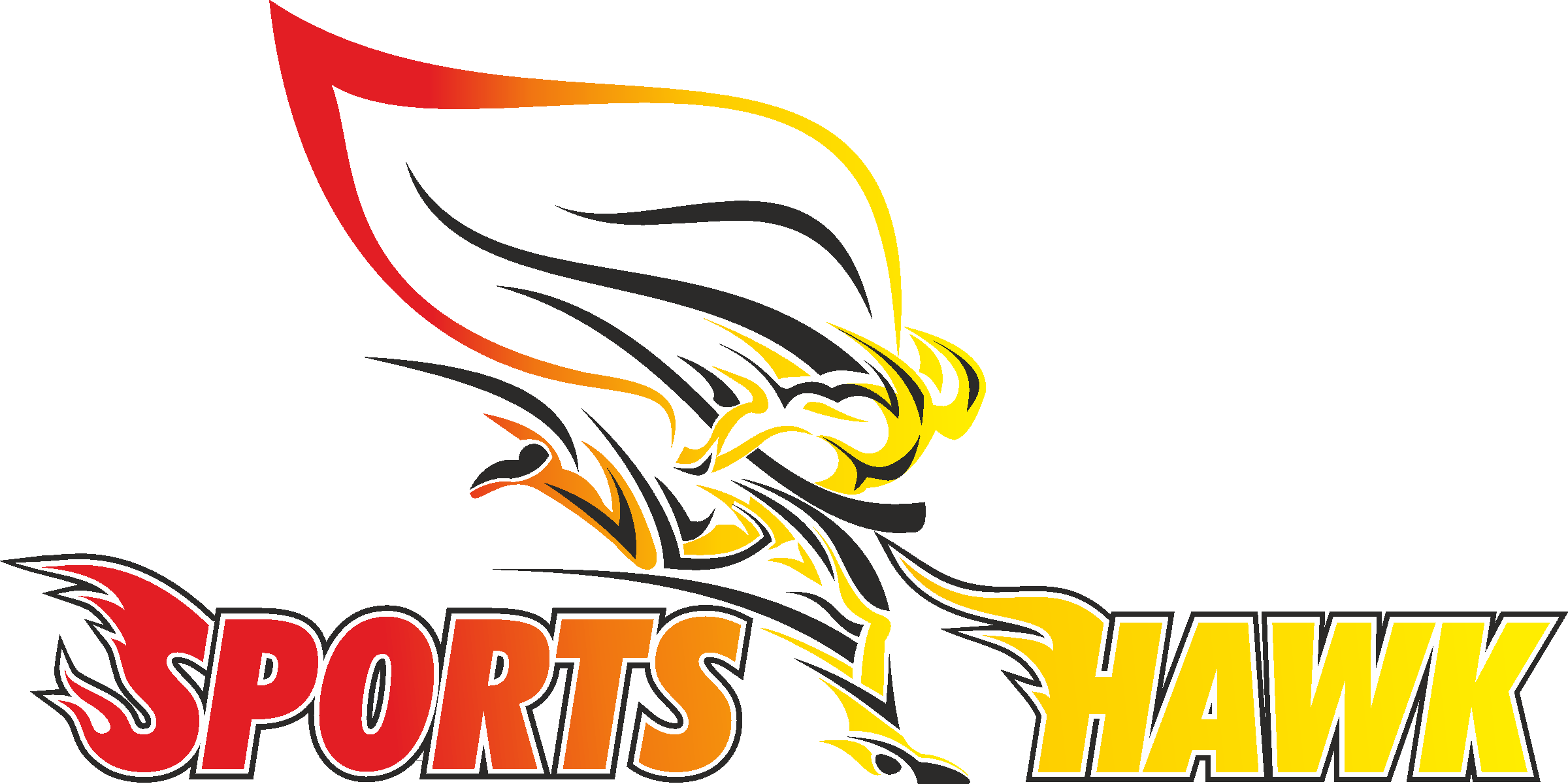 Sports Hawk School